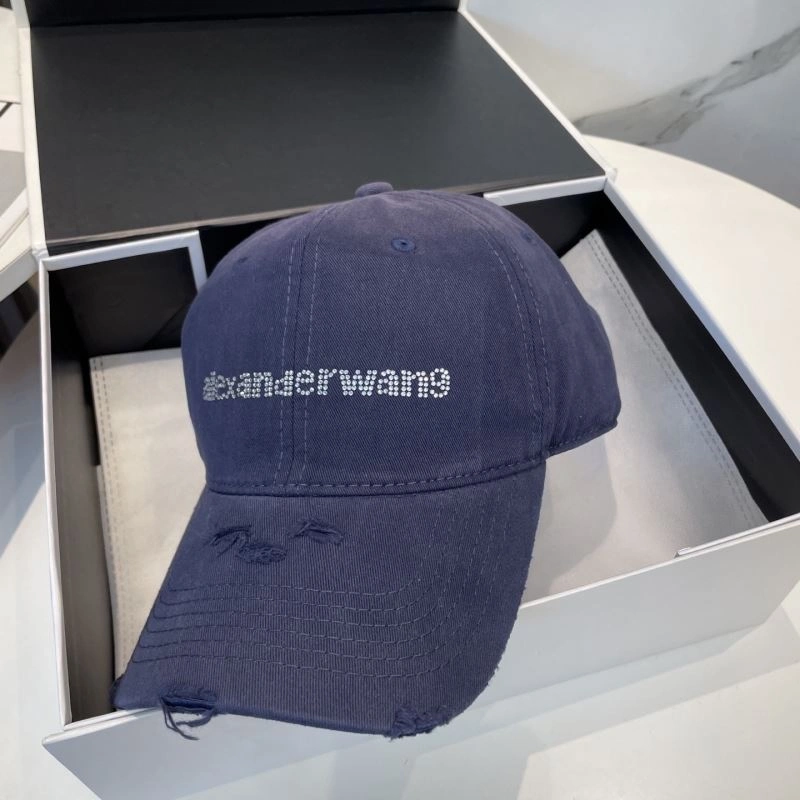 Unique Alexander Wang Caps 261037