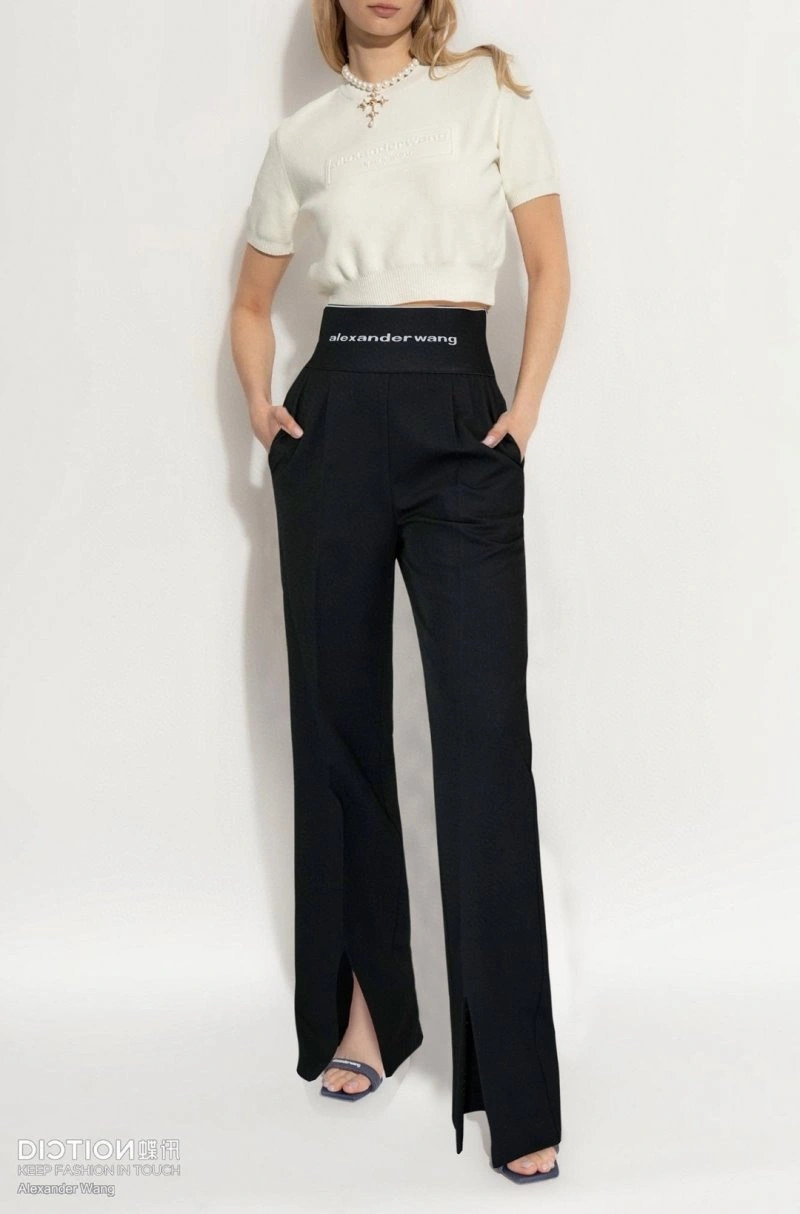 Alexander Wang Long Pants Packable 95165