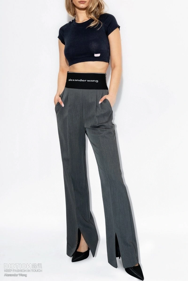 Alexander Wang Long Pants Packable 95165