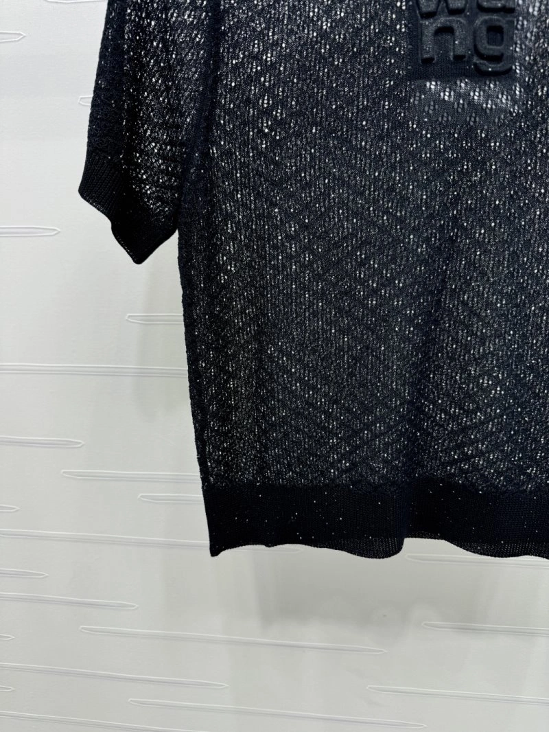 GoAnywhere Alexander Wang T-Shirts 95111
