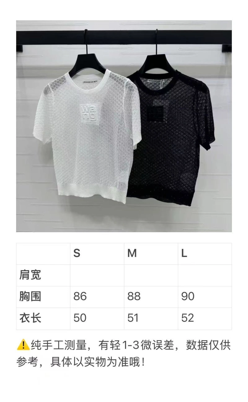 GoAnywhere Alexander Wang T-Shirts 95111
