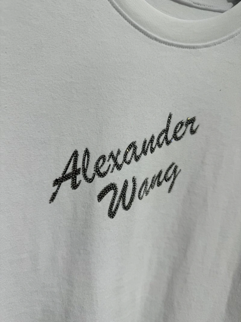 Premium Alexander Wang T-Shirts 95104