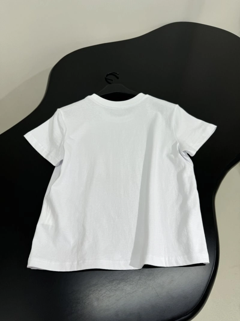 Premium Alexander Wang T-Shirts 95104
