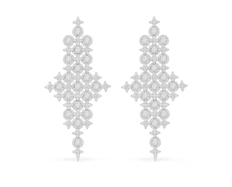 Apm Earrings Neat 215403
