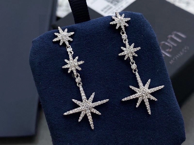 Apm Earrings Refined 215380