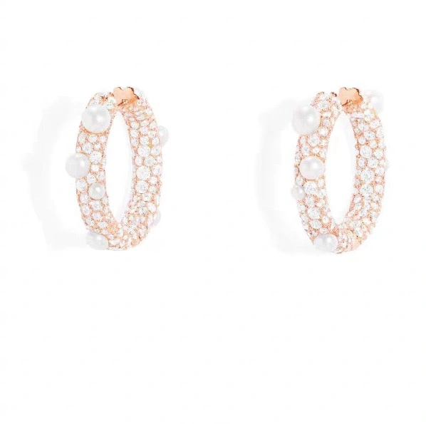 WellDesigned Apm Earrings 215376