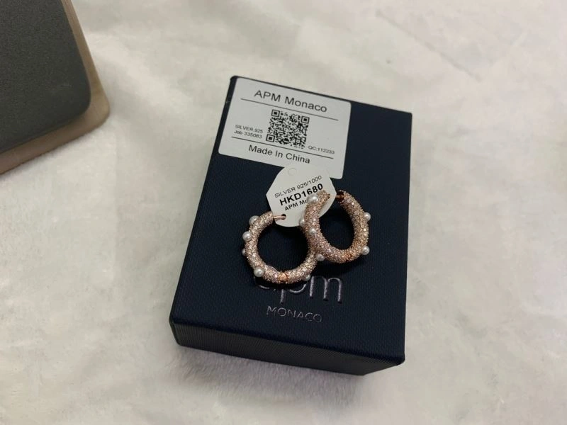 WellDesigned Apm Earrings 215376