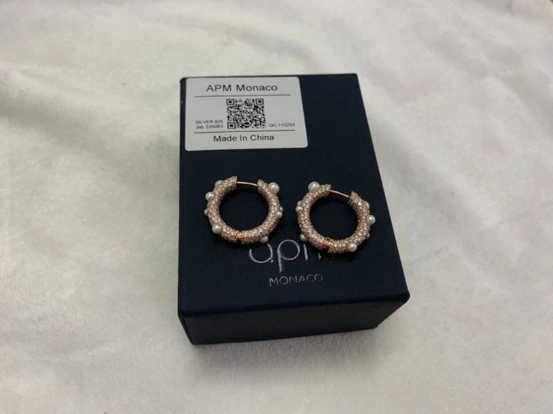 WellDesigned Apm Earrings 215376