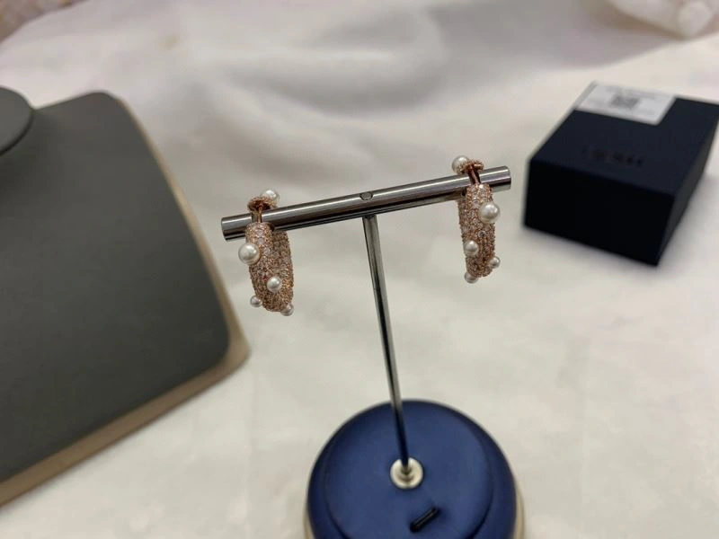 WellDesigned Apm Earrings 215376