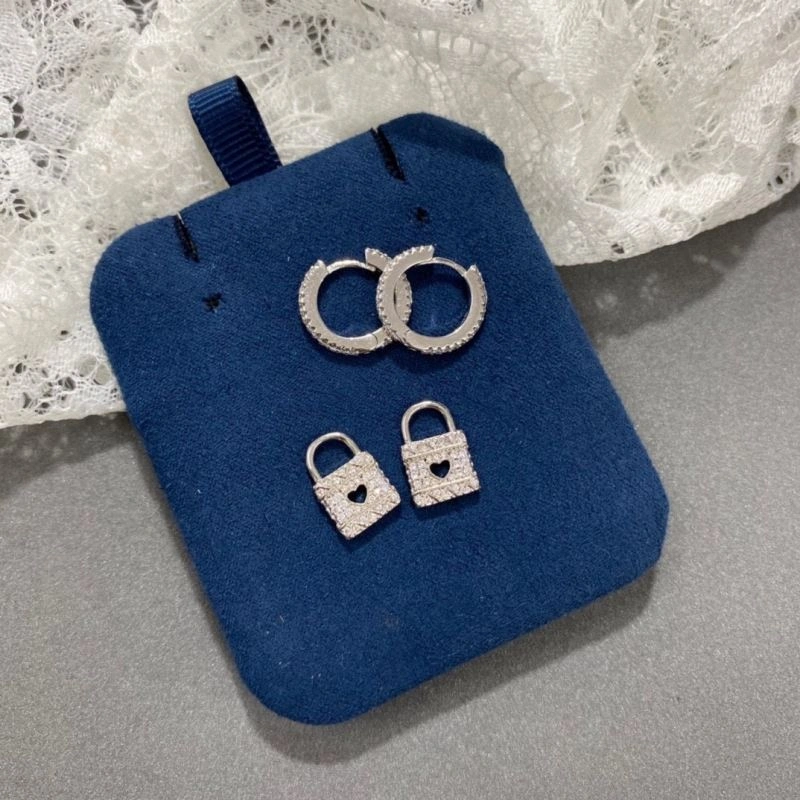 TravelReady Apm Earrings 215443