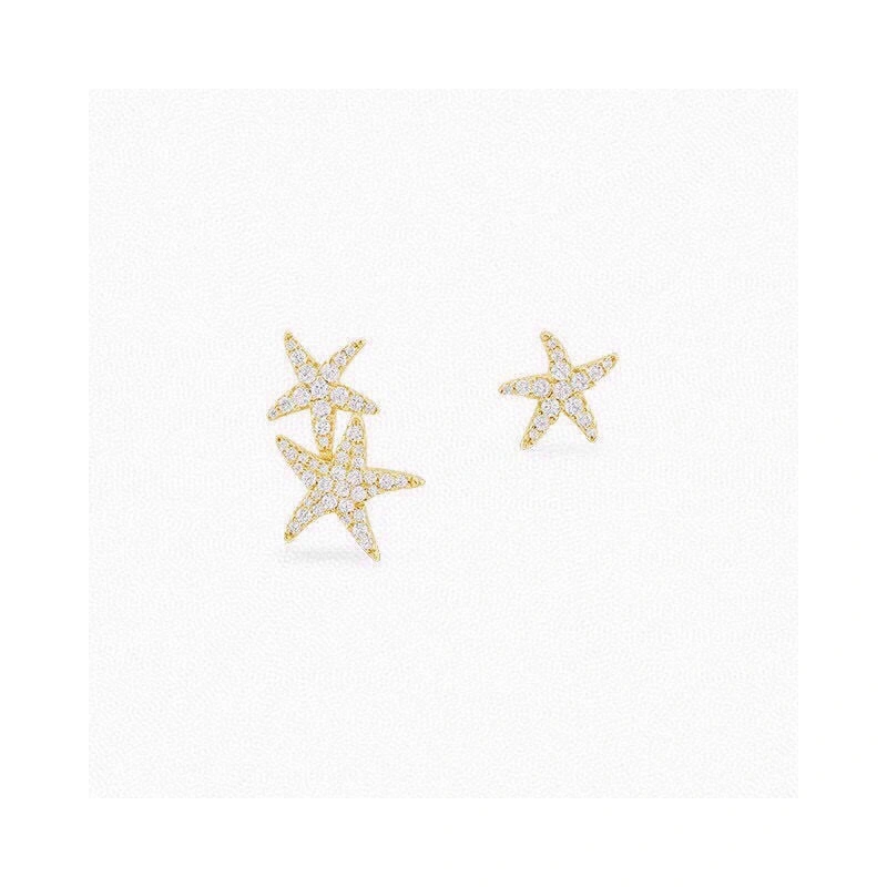 MultiPurpose Apm Earrings 215411