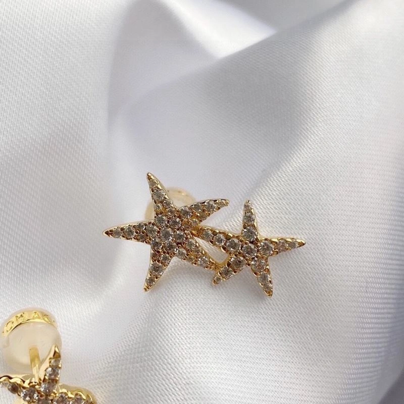 MultiPurpose Apm Earrings 215411