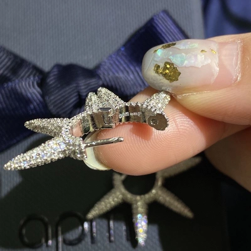 TopPick Apm Earrings 215429