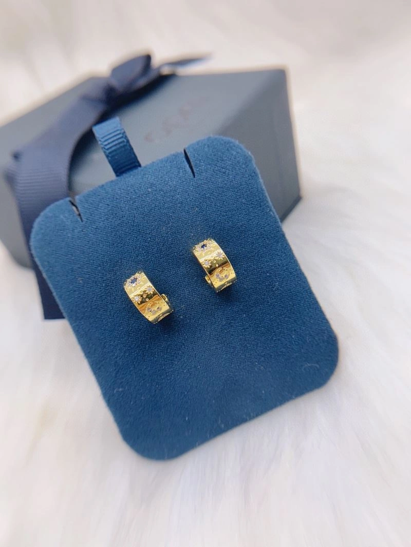 Apm Earrings Minimalist 215355