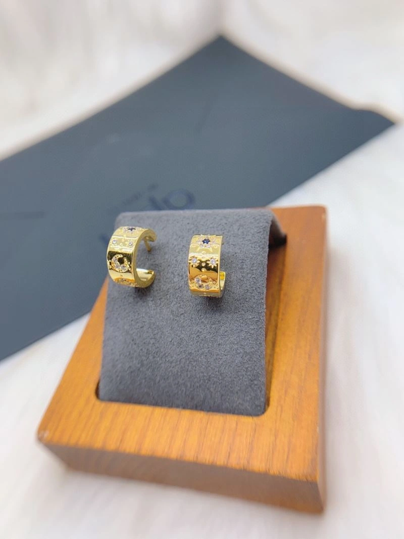 Apm Earrings Minimalist 215355