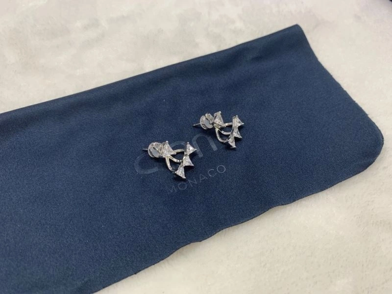 FlexibleFit Apm Earrings 215289