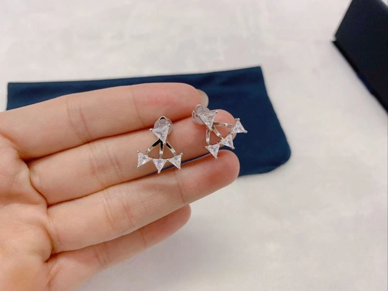 FlexibleFit Apm Earrings 215289