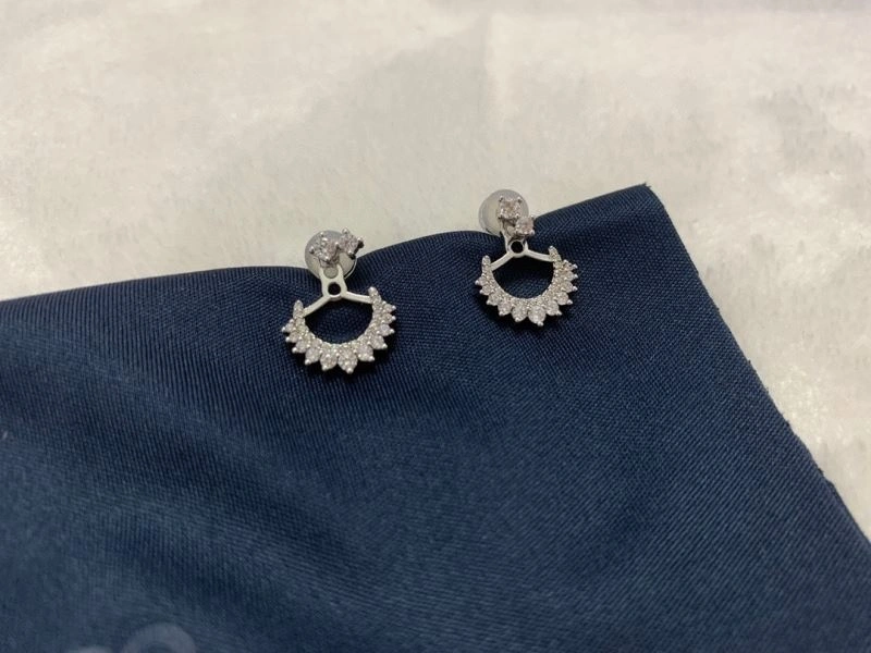 WaterResistant Apm Earrings 215310