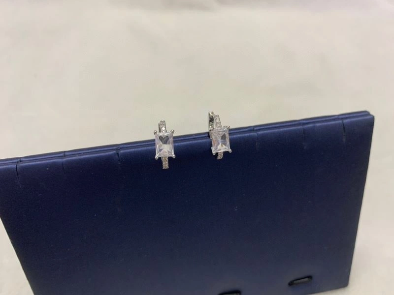 Apm Earrings SunProtective 215281