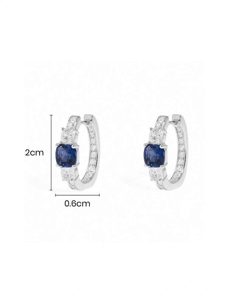 Apm Earrings Versatile 215294