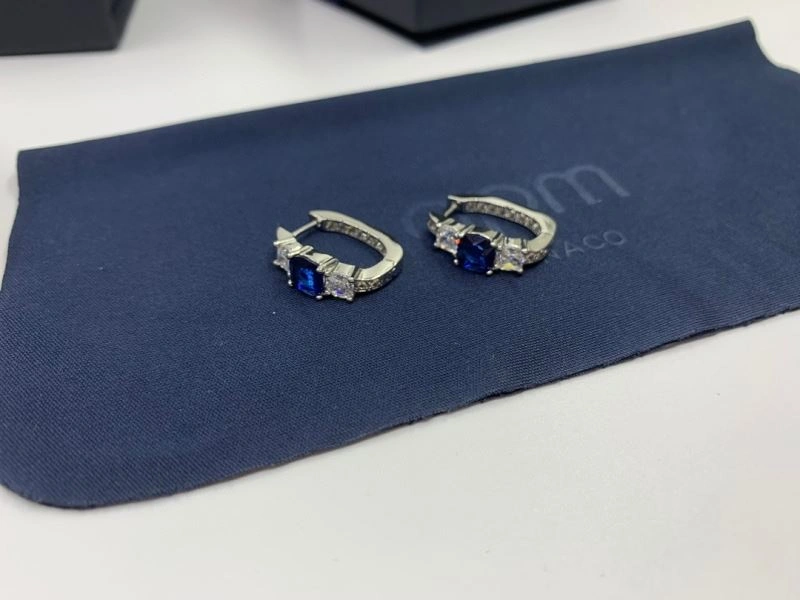 Apm Earrings Versatile 215294