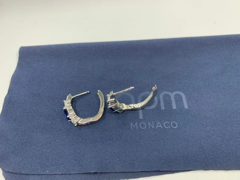 Apm Earrings Versatile 215294