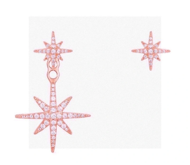 Apm Earrings Unique 215261