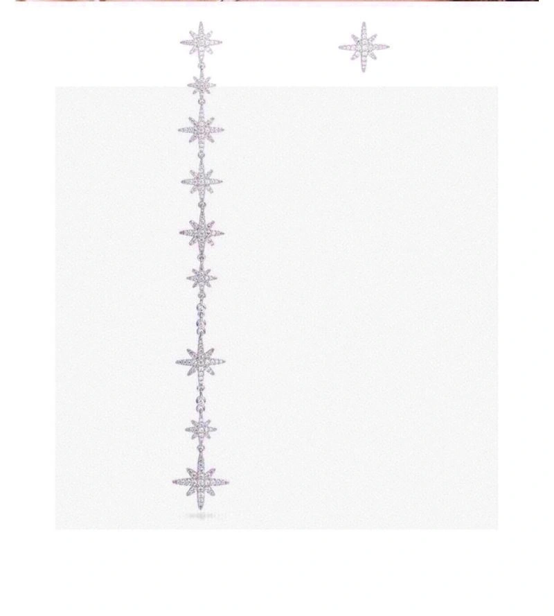 Snug Apm Earrings 215270