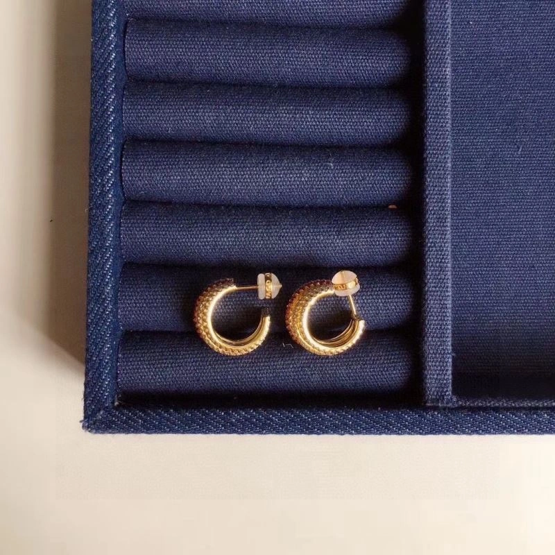 Apm Earrings OdorResistant 215248