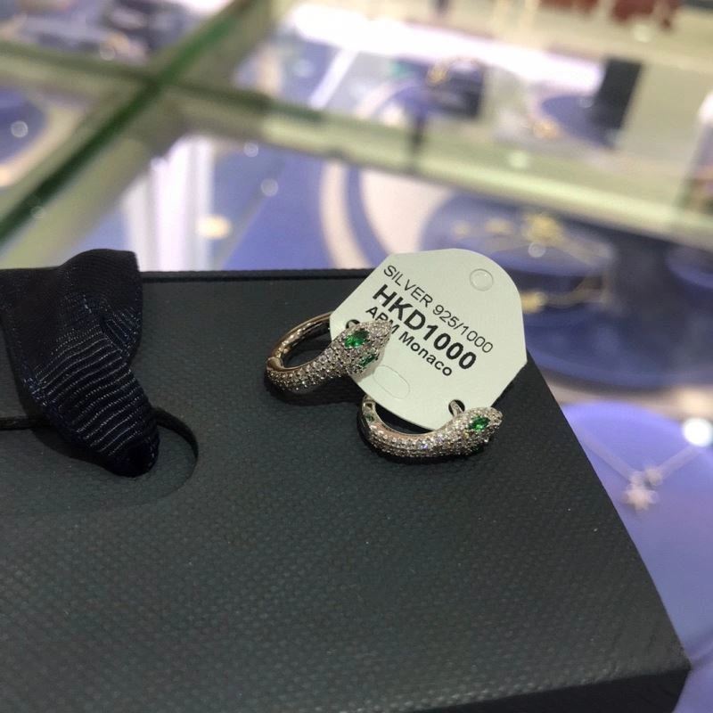 AllSeason Apm Earrings 215224