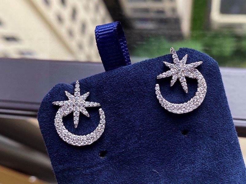 FastDry Apm Earrings 215228