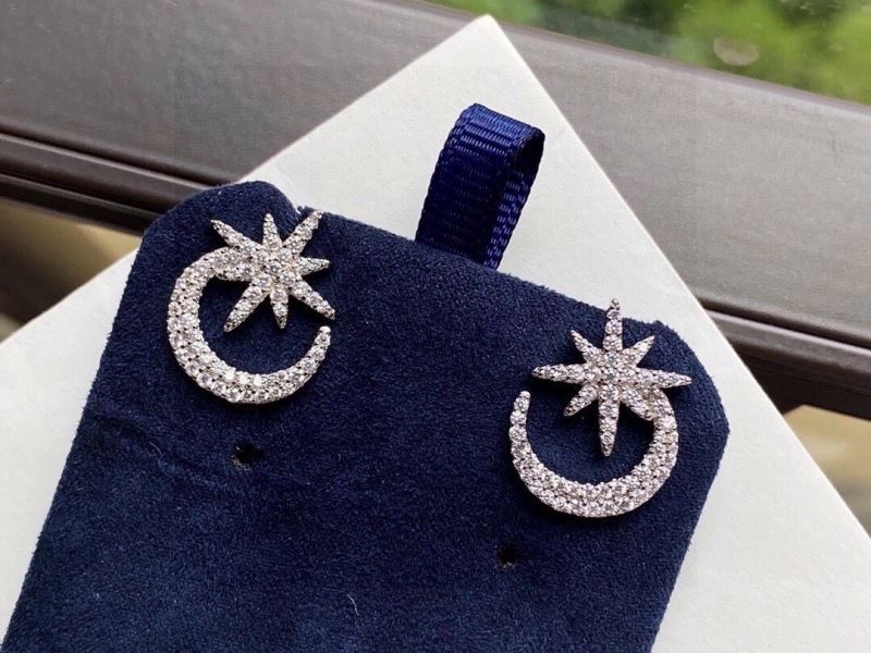 FastDry Apm Earrings 215228