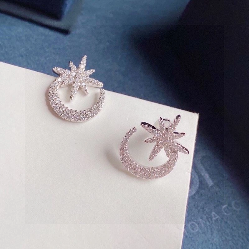 FastDry Apm Earrings 215228