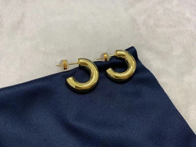 Apm Earrings Sleek 215199