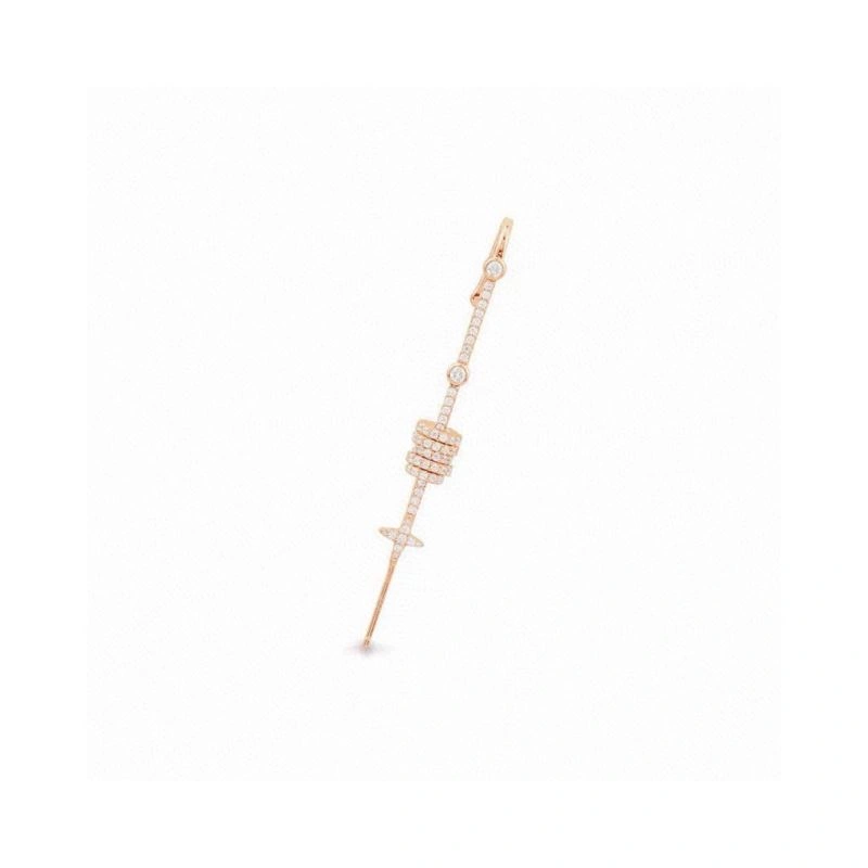 Apm Earrings Modern 215205