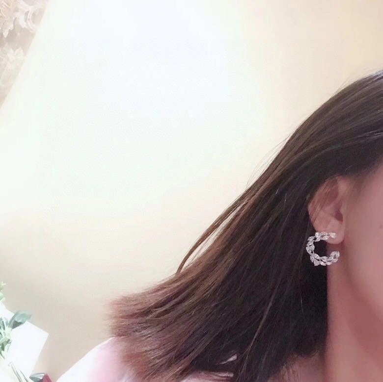 OnTrend Apm Earrings 215201