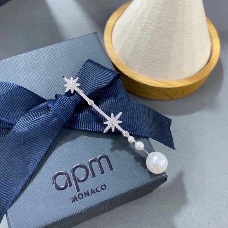 WellDesigned Apm Earrings 215193
