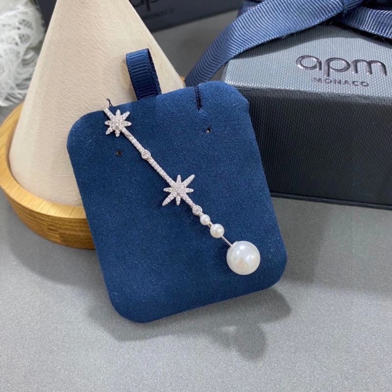 WellDesigned Apm Earrings 215193