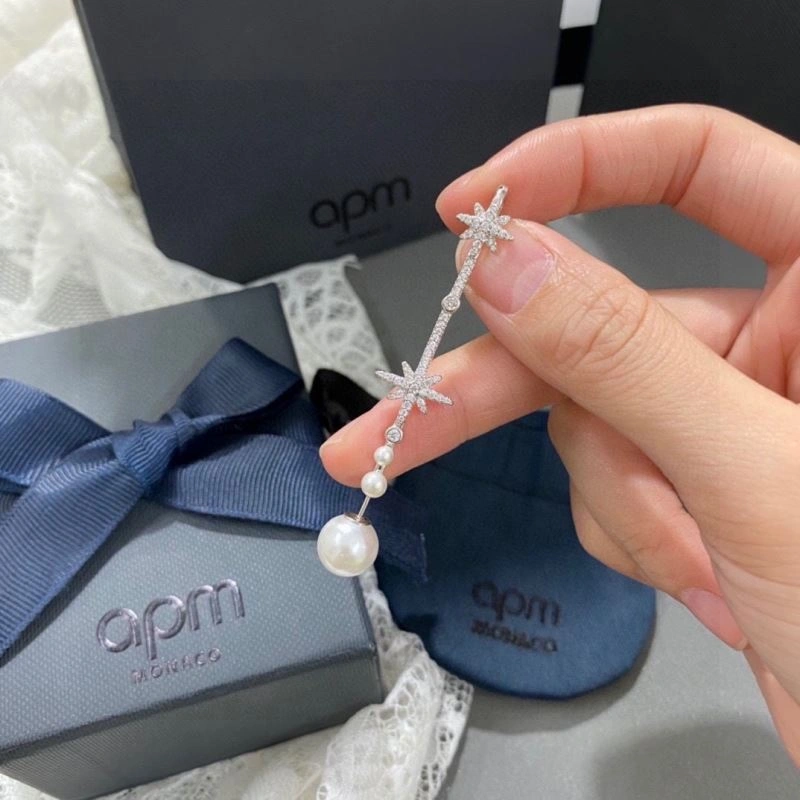 WellDesigned Apm Earrings 215193