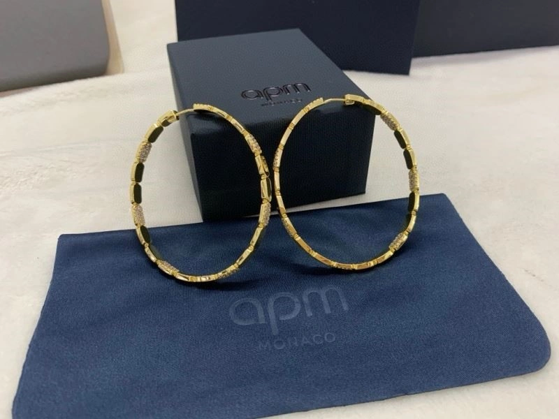 TravelReady Apm Earrings 215092