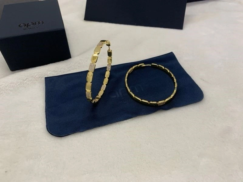 TravelReady Apm Earrings 215092