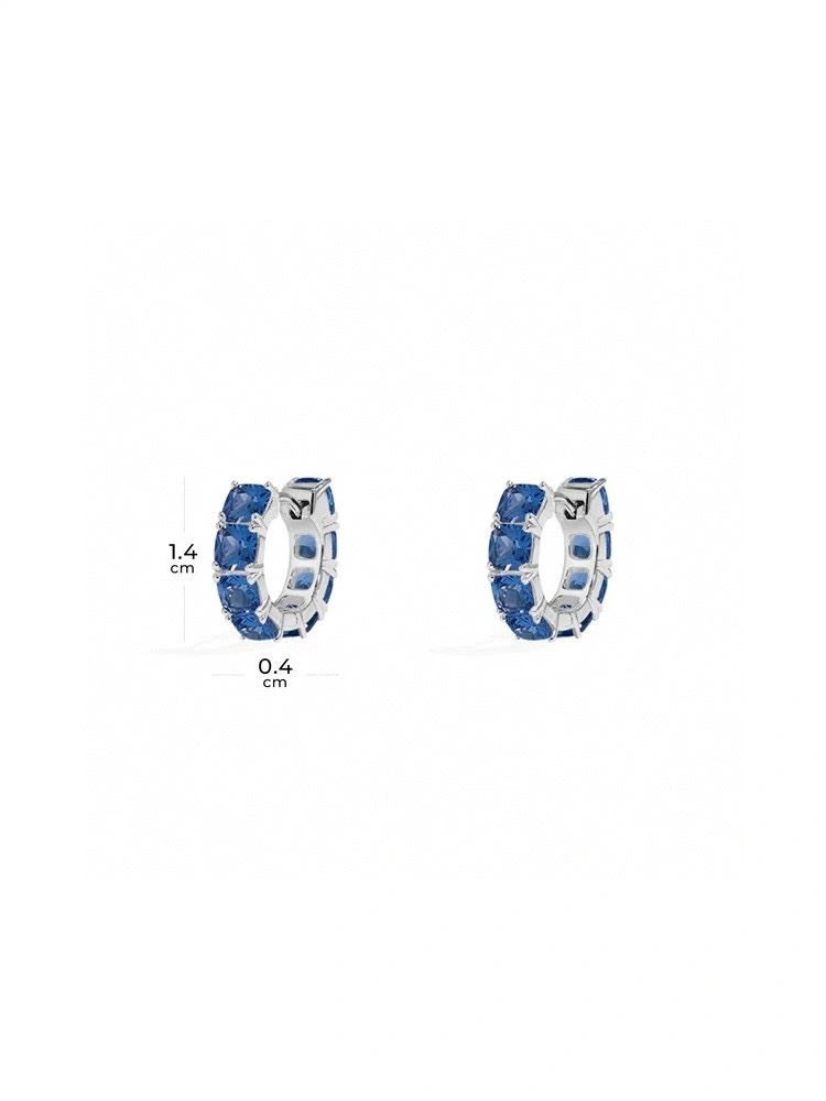EasyCare Apm Earrings 215089