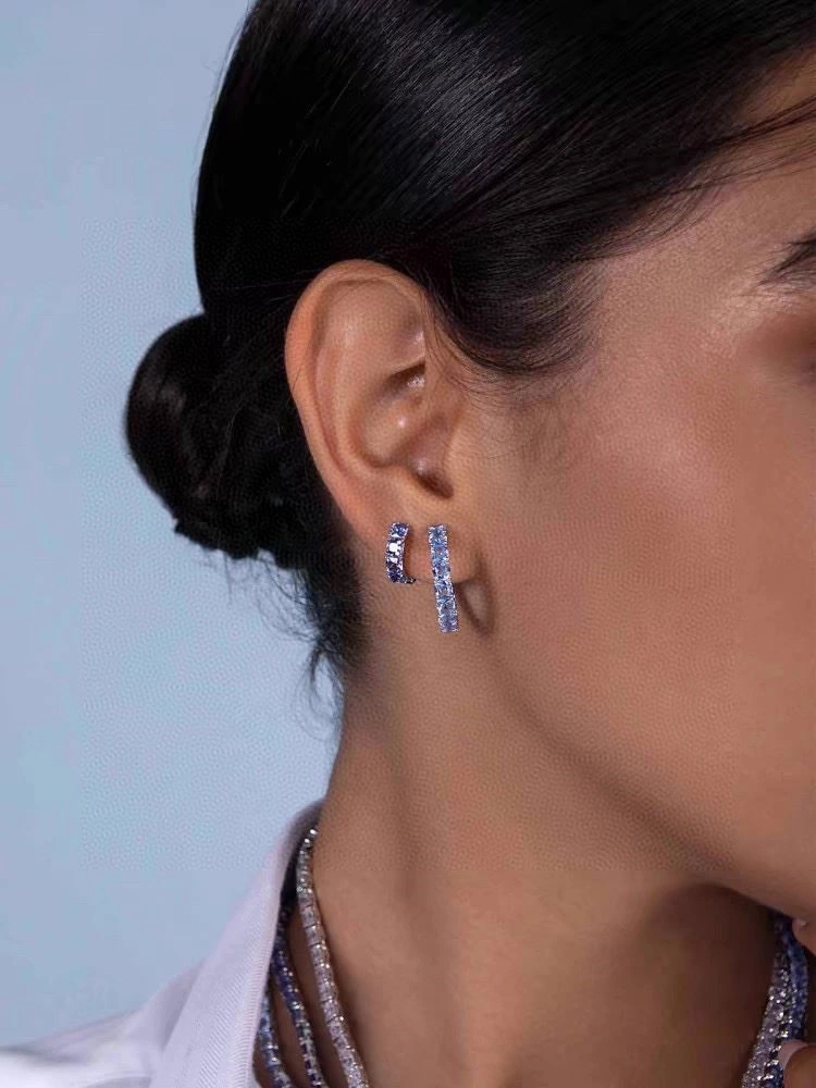 EasyCare Apm Earrings 215089