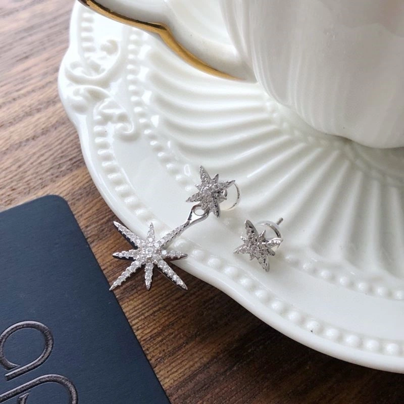 Modern Apm Earrings 215076