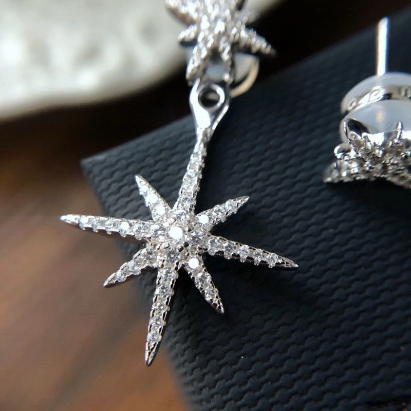 Modern Apm Earrings 215076