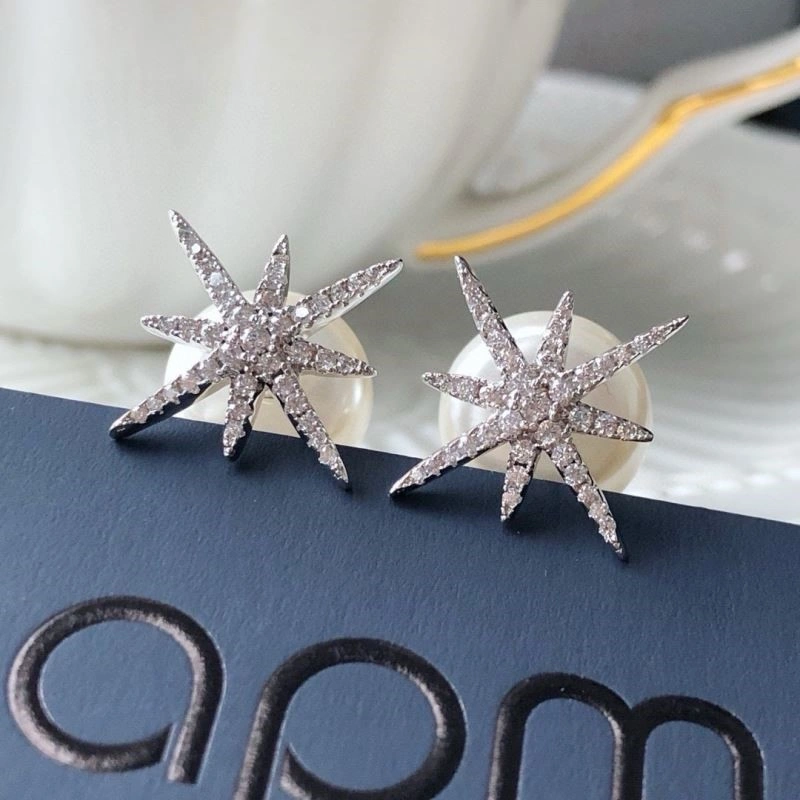 Apm Earrings ModernLook 215084