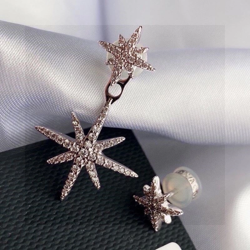 NewStyle Apm Earrings 215071