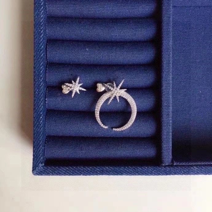 Apm Earrings Attractive 215036