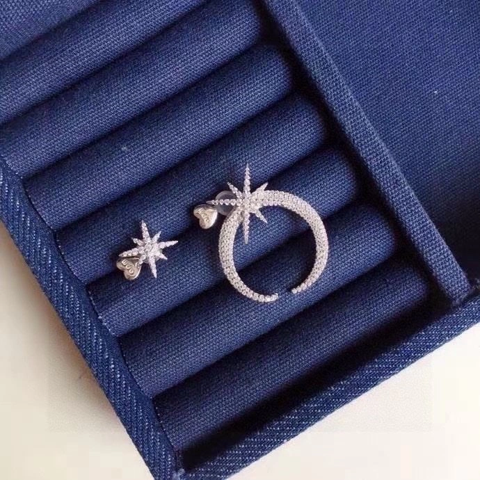 Apm Earrings Attractive 215036