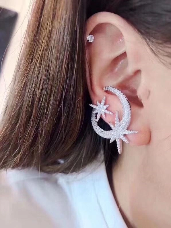 Apm Earrings Attractive 215036